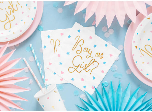 Papirservietter - "Boy or Girl" Hjerter & Stjerner - 33cm - 20pk 