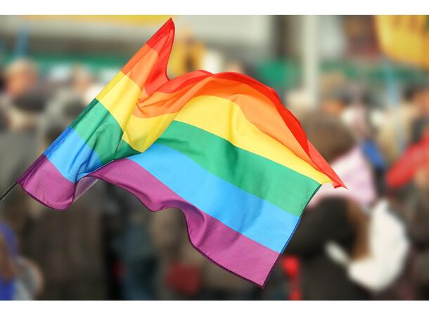 Regnbueflagg - Pride - Flagg 90x150cm