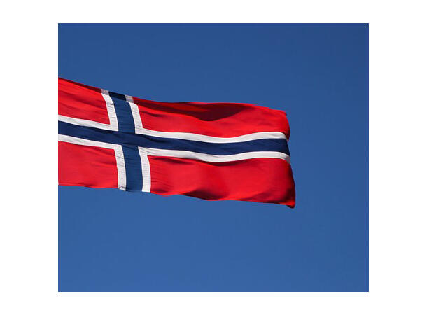 Flagg - Norge - Nylon 90x150cm