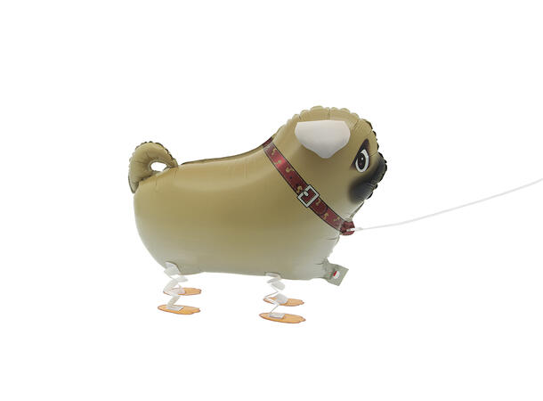 Folieballong - Gående Kjæledyr - Hund Ballongfigur