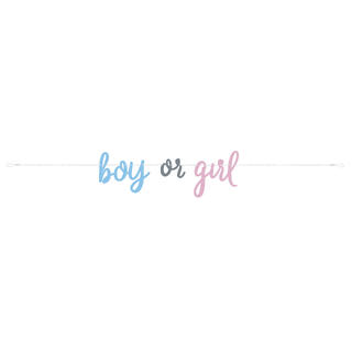 Bokstavbanner - Gender Reveal 213cm