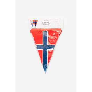 Norsk Flagg - Banner 1 Flaggbanner i plast 10m -flagg 20x30cm