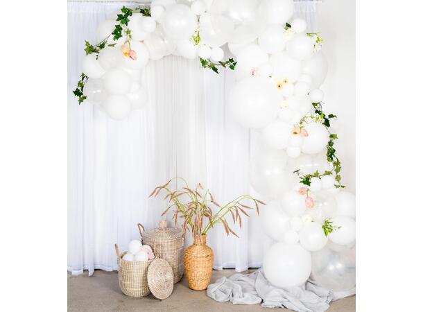 Ballongbuekit - Hvit 1 Ballongdekorasjon av gummiballonger 