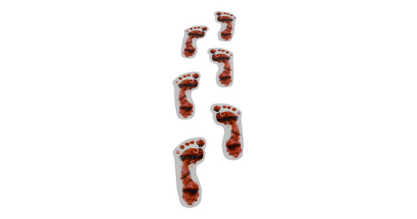 40550