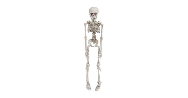 40562
