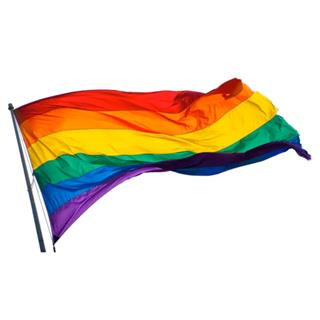 pride-homo-lgbt-lhbt-partyland